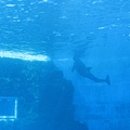 IMG_6512.JPG