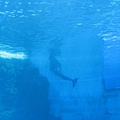 IMG_6513.JPG