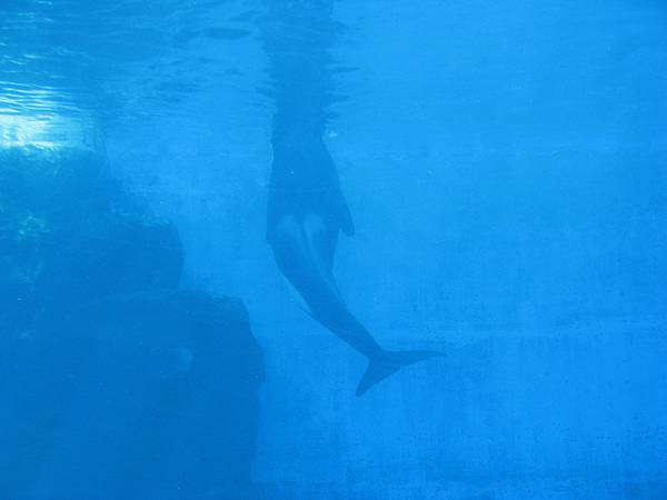 IMG_6514.JPG