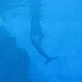 IMG_6514.JPG