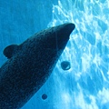 IMG_6516.JPG
