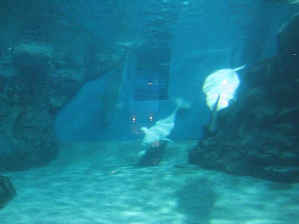 IMG_6523.JPG