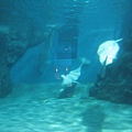IMG_6523.JPG