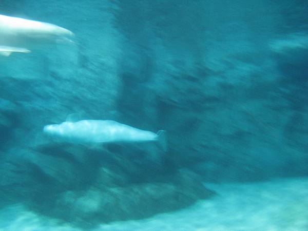 IMG_6526.JPG