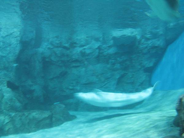 IMG_6527.JPG