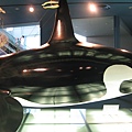 IMG_6528.JPG
