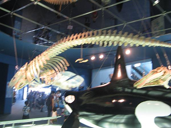 IMG_6530.JPG