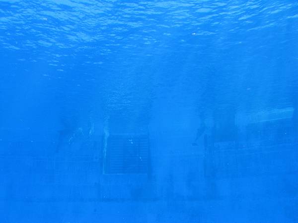 IMG_6531.JPG