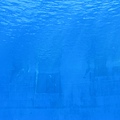 IMG_6531.JPG