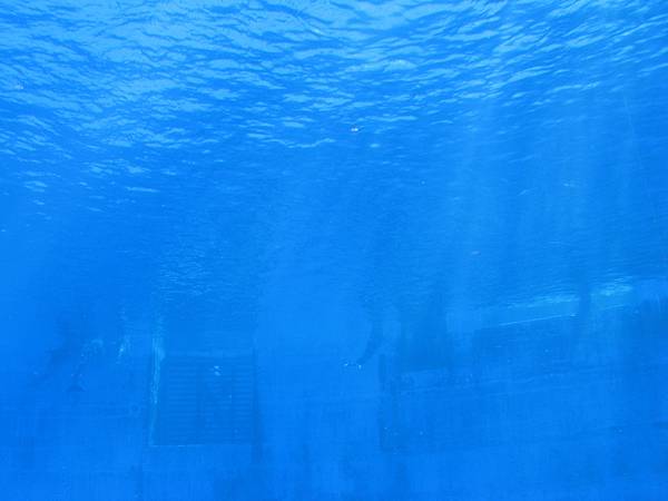 IMG_6532.JPG
