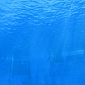 IMG_6532.JPG