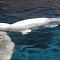 IMG_6537.JPG