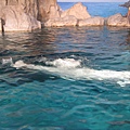IMG_6540.JPG