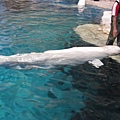 IMG_6542.JPG