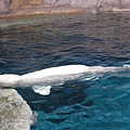 IMG_6543.JPG