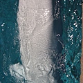 IMG_6547.JPG