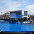 IMG_6550.JPG