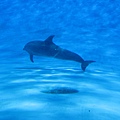 IMG_6554.JPG