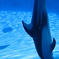 IMG_6555.JPG