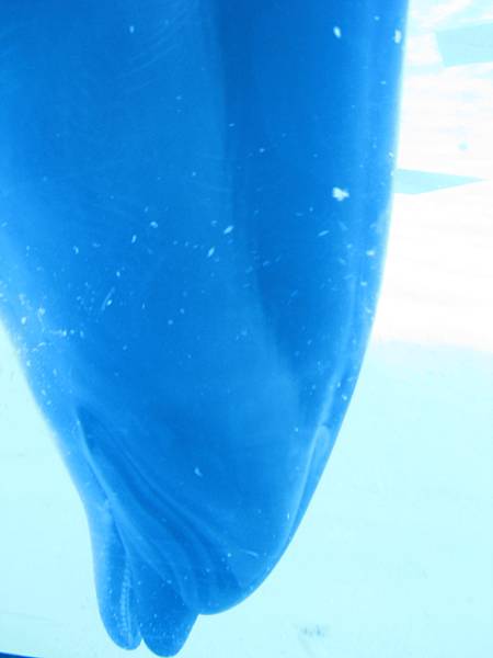 IMG_6557.JPG