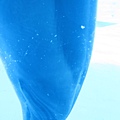 IMG_6557.JPG