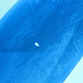 IMG_6561.JPG