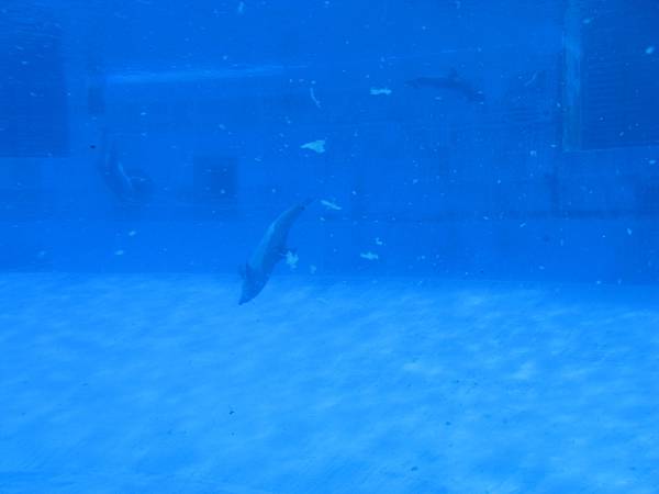 IMG_6564.JPG