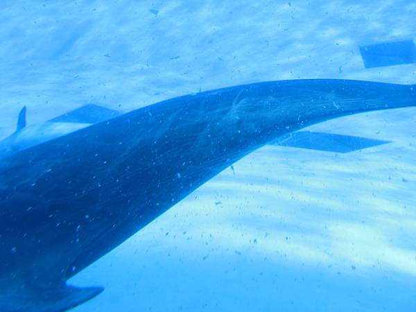 IMG_6563.JPG