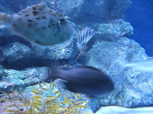 IMG_6569.JPG