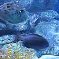 IMG_6569.JPG