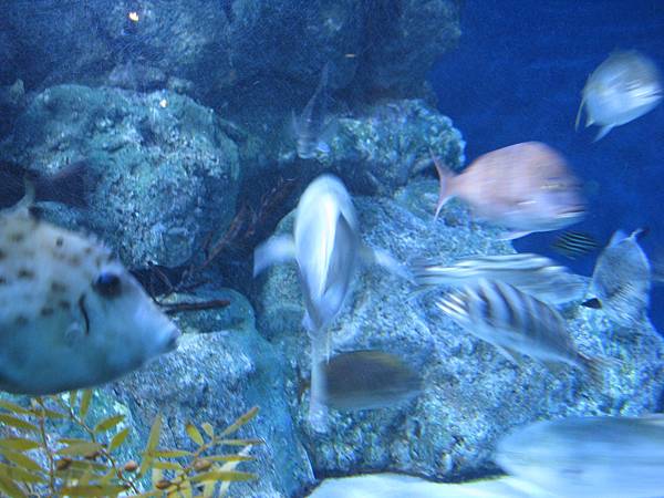 IMG_6568.JPG
