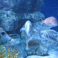 IMG_6568.JPG