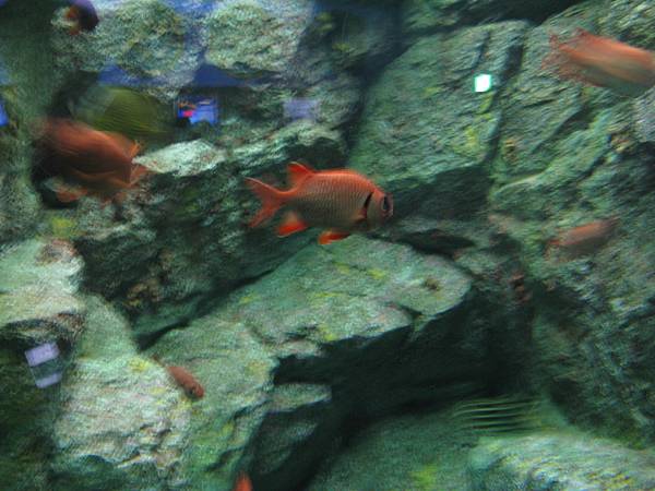 IMG_6570.JPG