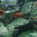 IMG_6570.JPG