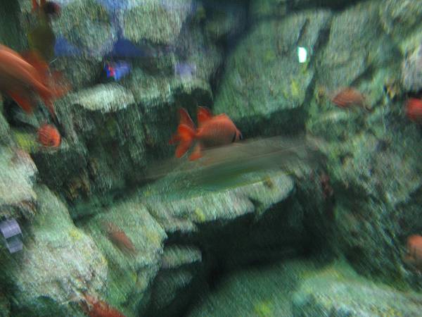 IMG_6571.JPG