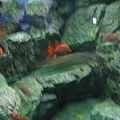 IMG_6571.JPG