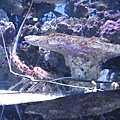 IMG_6581.JPG