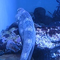 IMG_6582.JPG