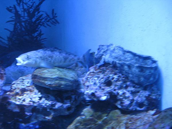 IMG_6583.JPG