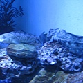 IMG_6583.JPG