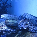 IMG_6584.JPG
