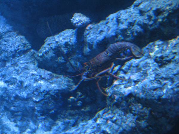 IMG_6585.JPG