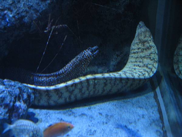 IMG_6586.JPG