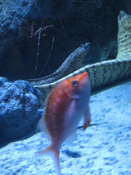 IMG_6587.JPG