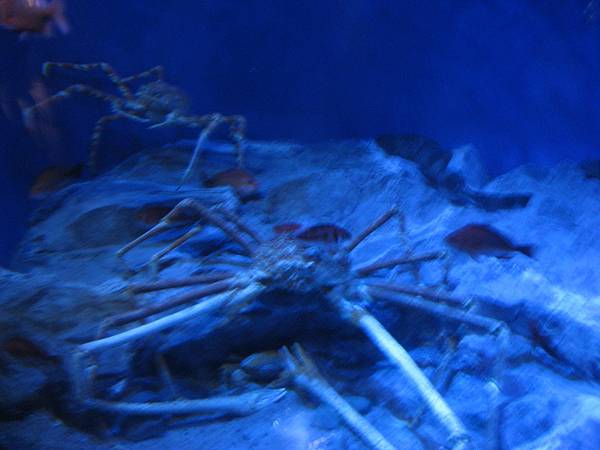 IMG_6588.JPG