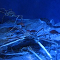 IMG_6588.JPG