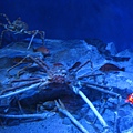 IMG_6589.JPG
