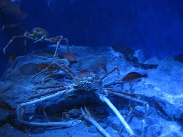 IMG_6591.JPG