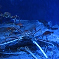 IMG_6591.JPG