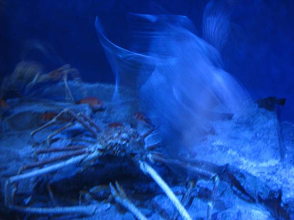 IMG_6592.JPG